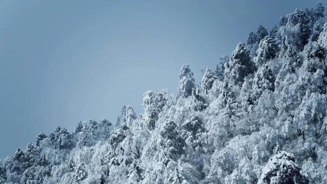 报任安书几年级课文- 最专业的有问必答平台